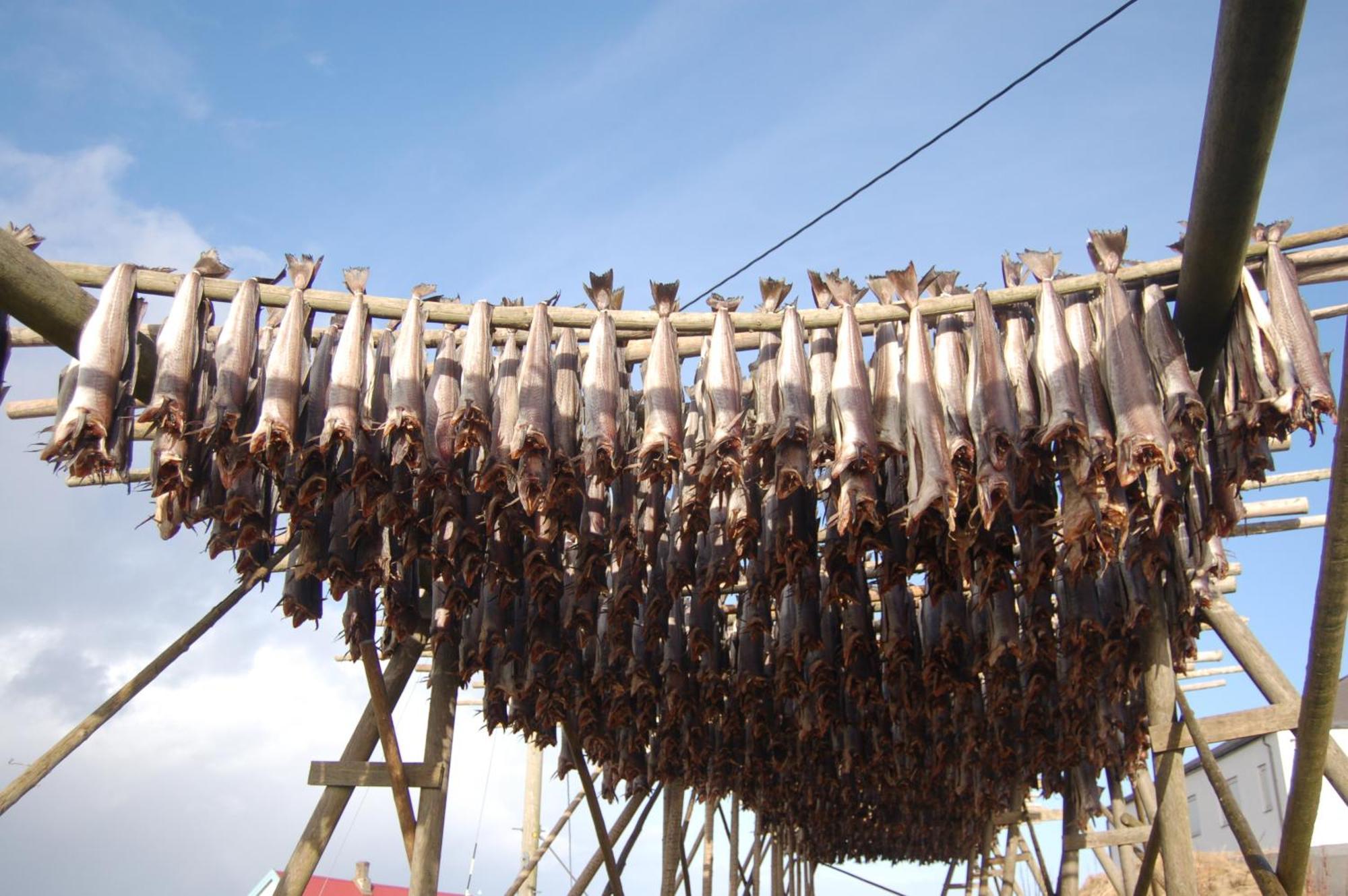 Fiskarheimen Havly, Rost 호텔 외부 사진