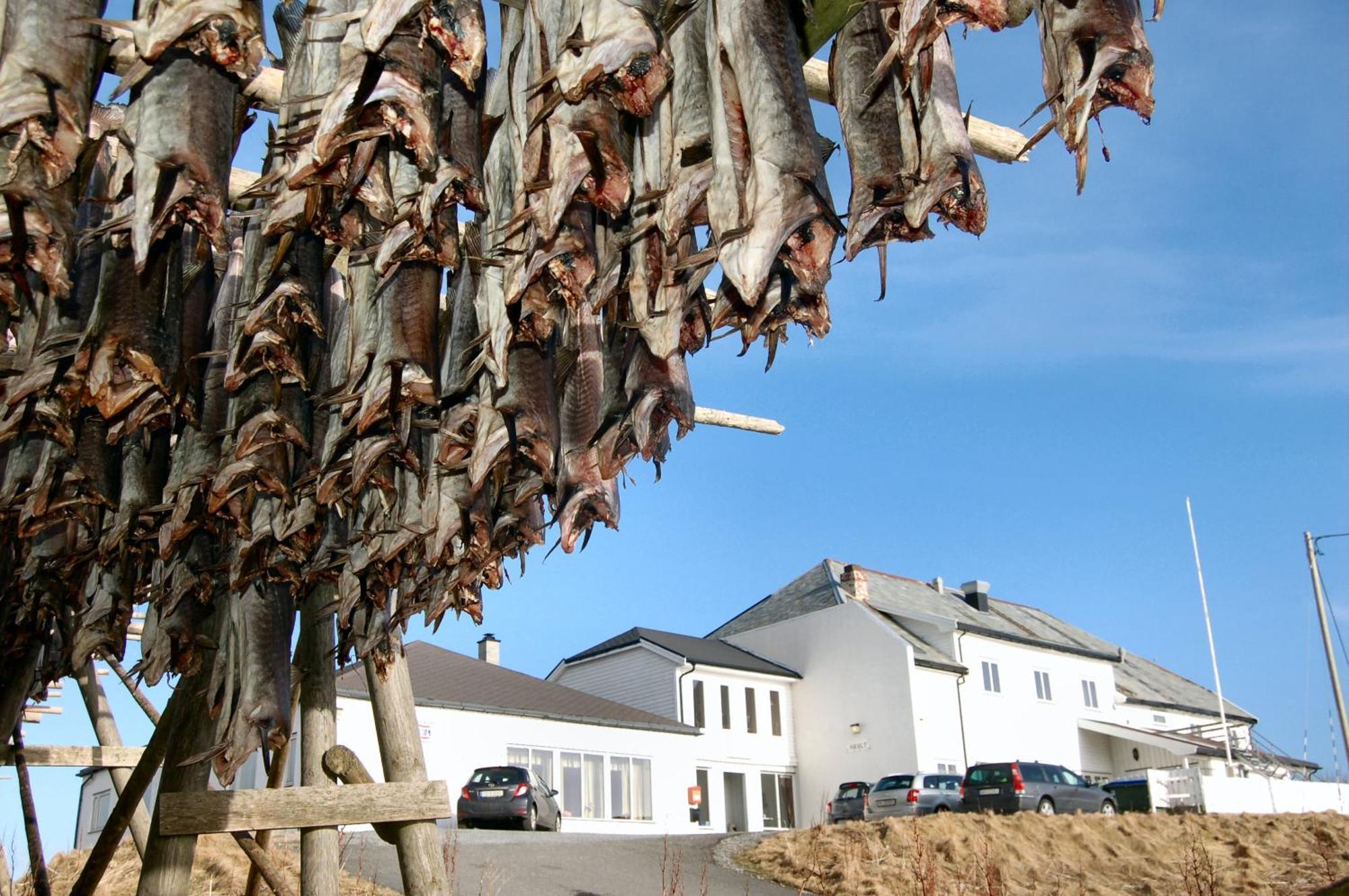 Fiskarheimen Havly, Rost 호텔 외부 사진
